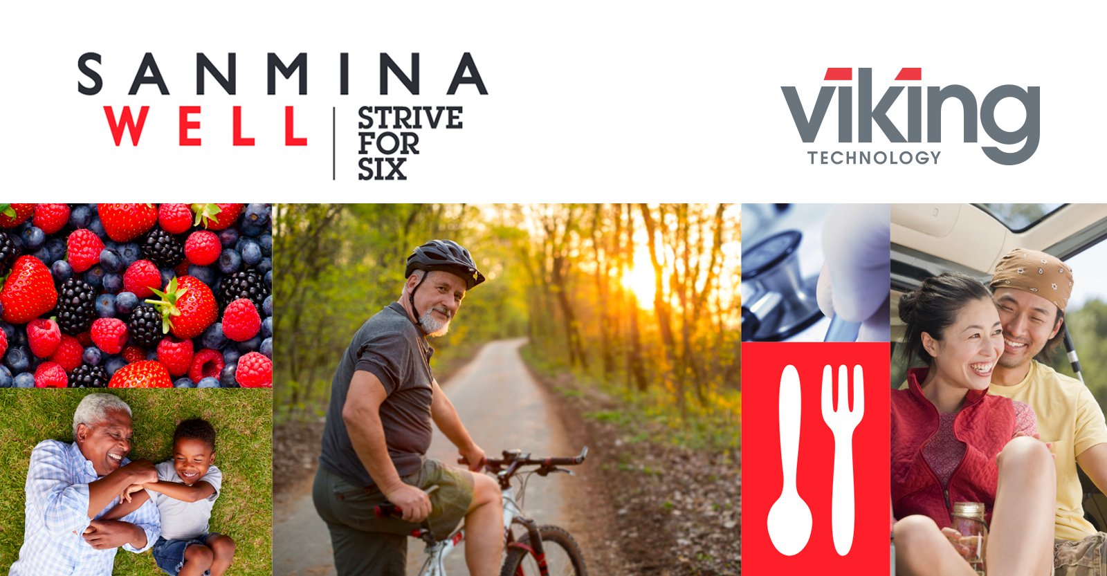 Viking Technology on X: Viking is grateful to be part of SanminaWell's  program. Sanmina's approach to wellness is all about striving for strong  health measures & encouraging a healthy lifestyle for all
