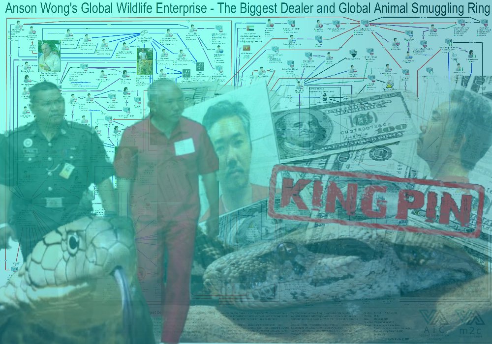 VAworldwide's tweet image. At VA Worldwide, we work with several NGO&apos;s around the globe fighting causes close to our hearts. Today&apos;s #AnalystArchives focuses on one of those causes: Stopping the illegal Wildlife Trade. Follow along to learn more:  bit.ly/2Qnadsy

#IBM #i2 #anacapa #wildlife