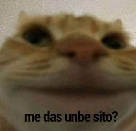 AniOli🪽 on X: 😳 esa descripción tho / X