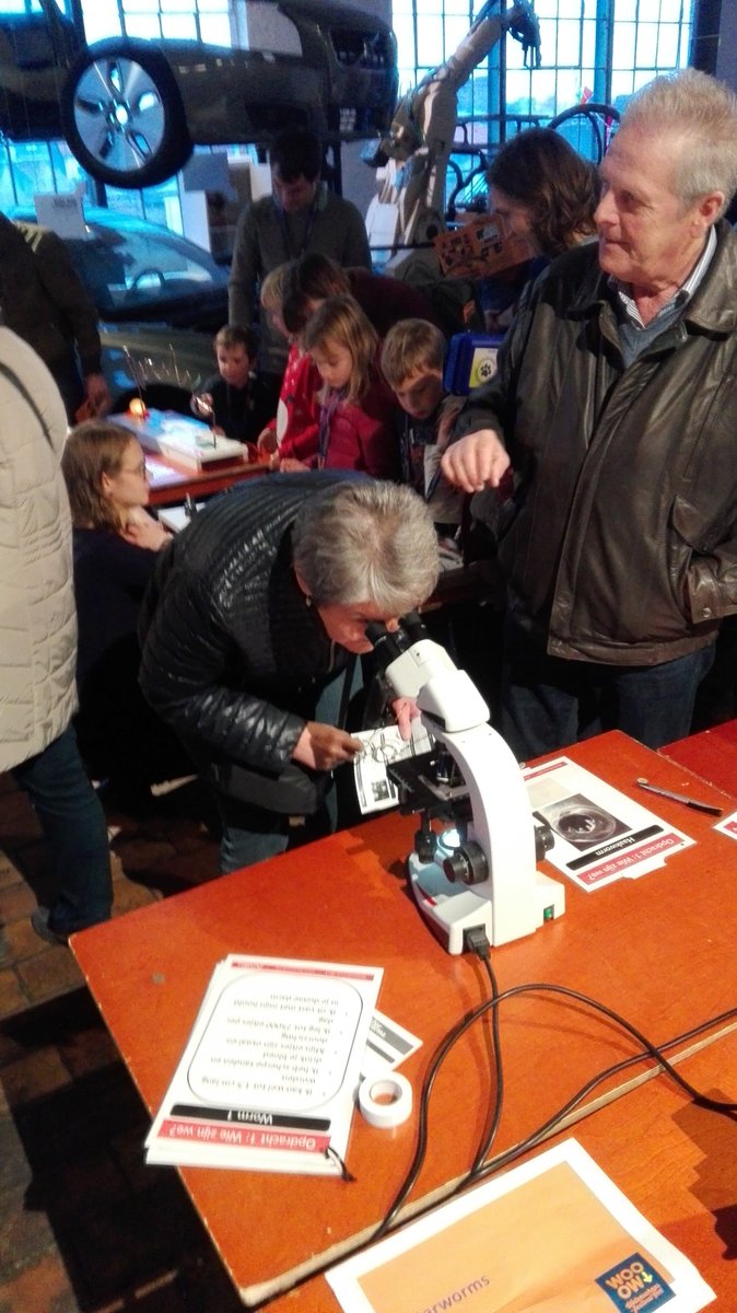 Starworms tweet media