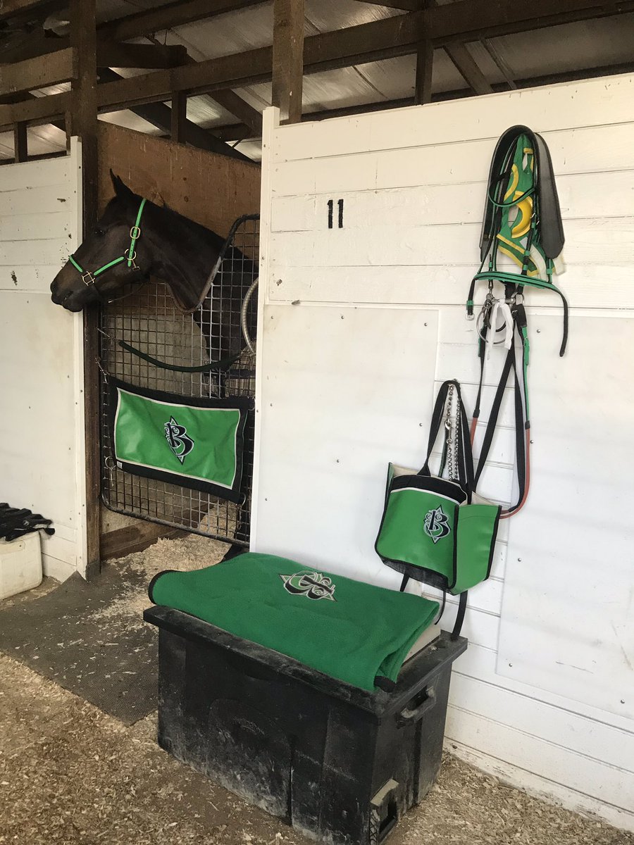 CCBRacingStable's tweet photo. #sicklove #parxracing #NellaStable https://t.co/MB4bjLwncb