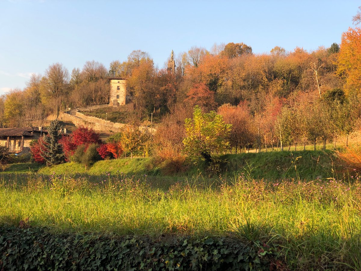 #bergamo #bg #visitbergamo #igbergamo #istabergamo #vivobergamo #goodvibes #nature #walking #trekking #hiking