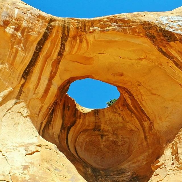 SoulSelfLiving's tweet photo. Reposting @alexischateau_:
Bowtie Arch in Moab Desert, Utah. .
.
.
#BowtieArch #nature #naturephotography #instatravel #instanature #instadaily #travelgram #desert #deserttrail #hikingtrails #hiking #adventures #adventure #naturelovers #travelling #travelblogger https://t.co/Ch2Q55VLRK