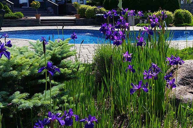 NamcoPools's tweet photo. 🌿 Landscaping your Pool – Terms to know https://t.co/D4ysfyDu3M @HaywardPool #Landscaping #TipTuesday #HaywardPool #PoolIdeas https://t.co/Q9cZs1kTxn