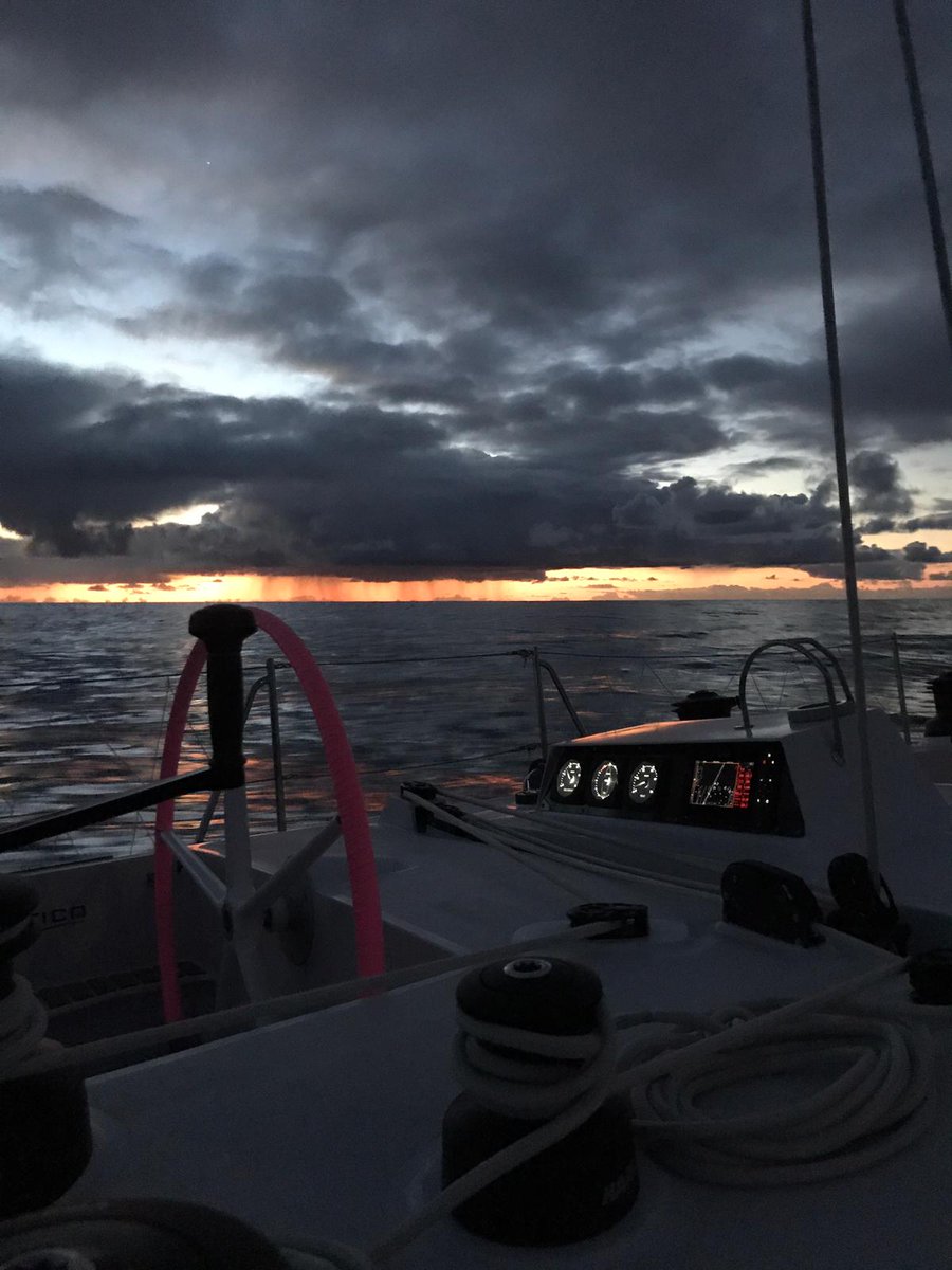 Tracy Edwards tweet media