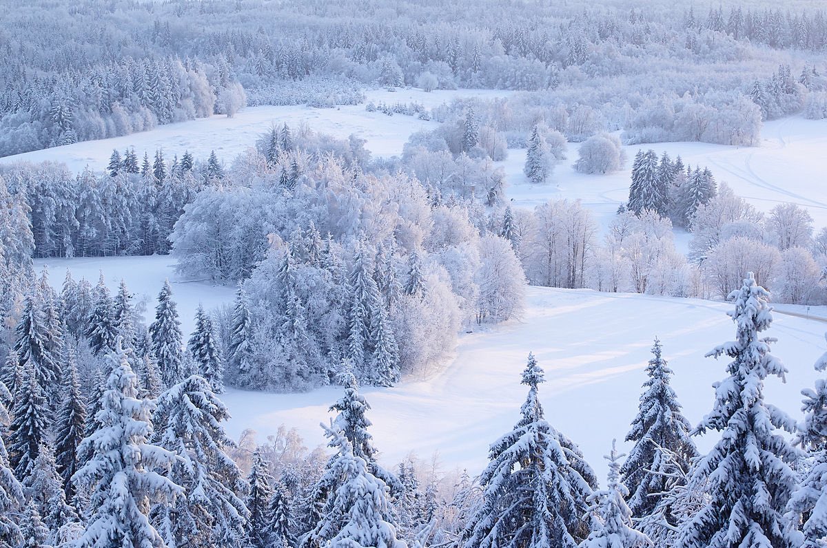 ❄️ ЗИМНЯЯ ЦЕ ПОЧКА ТВИТТЕРСКИХ ❄️

❄️ делай ретвит ❄️
❄️ читай ретвитнувших ❄️
❄️ читай меня, я взаимная ❄️
❄️ будь взаимным ❄️
❄️ радуйся новым читателям и поднимай себе настроение ❄️

#цепочкатвиттерских
#атеистиоскарфолловятзиму