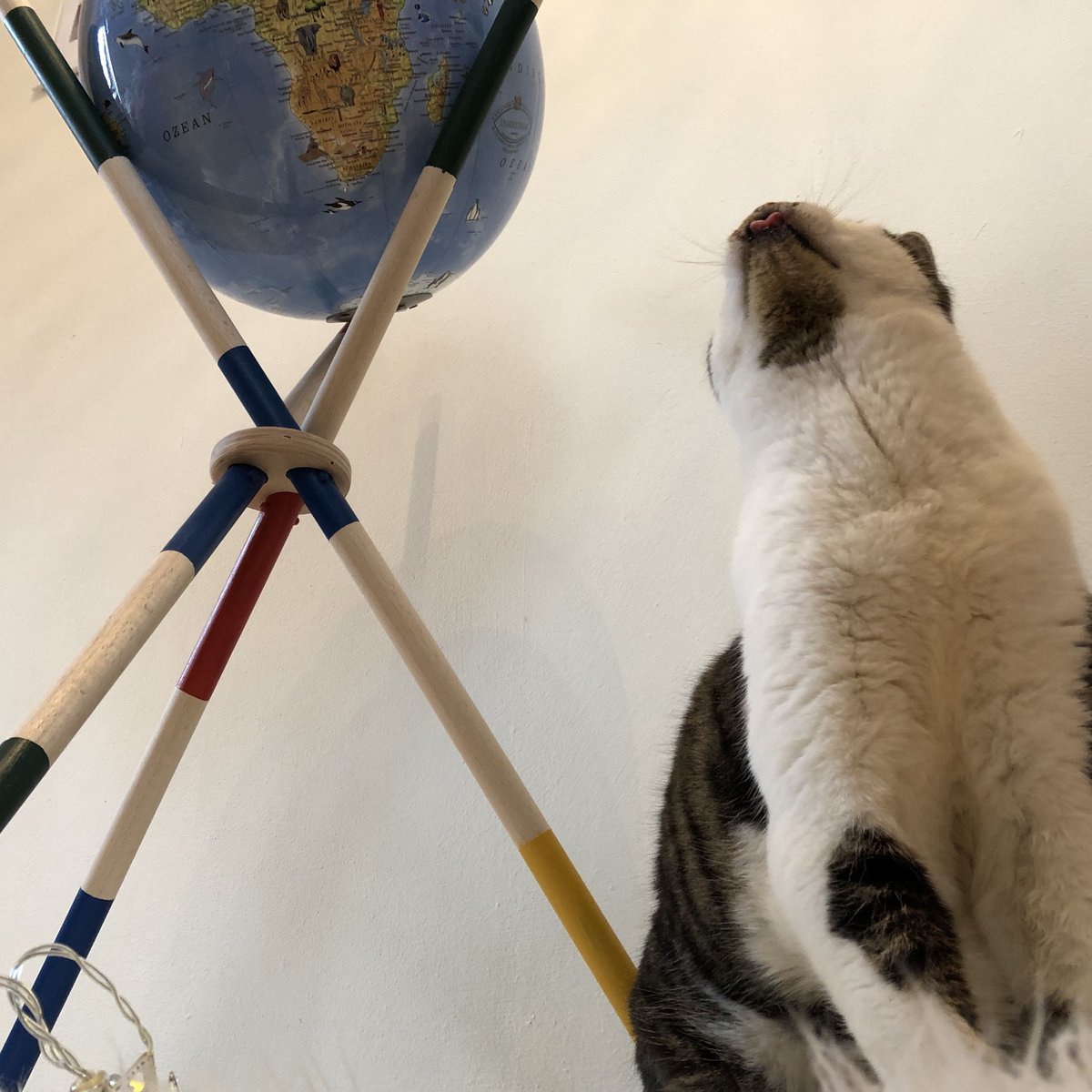 columbusverlag's tweet photo. Wie im Marketing: Kinder und Kleintiere wirken immer.
Mit dem Unterschied, dass unser Mikado Unsere Erde Globus auf Erwachsene, Kinder und Kleintiere wirkt... https://t.co/fsFZQWkpjF
