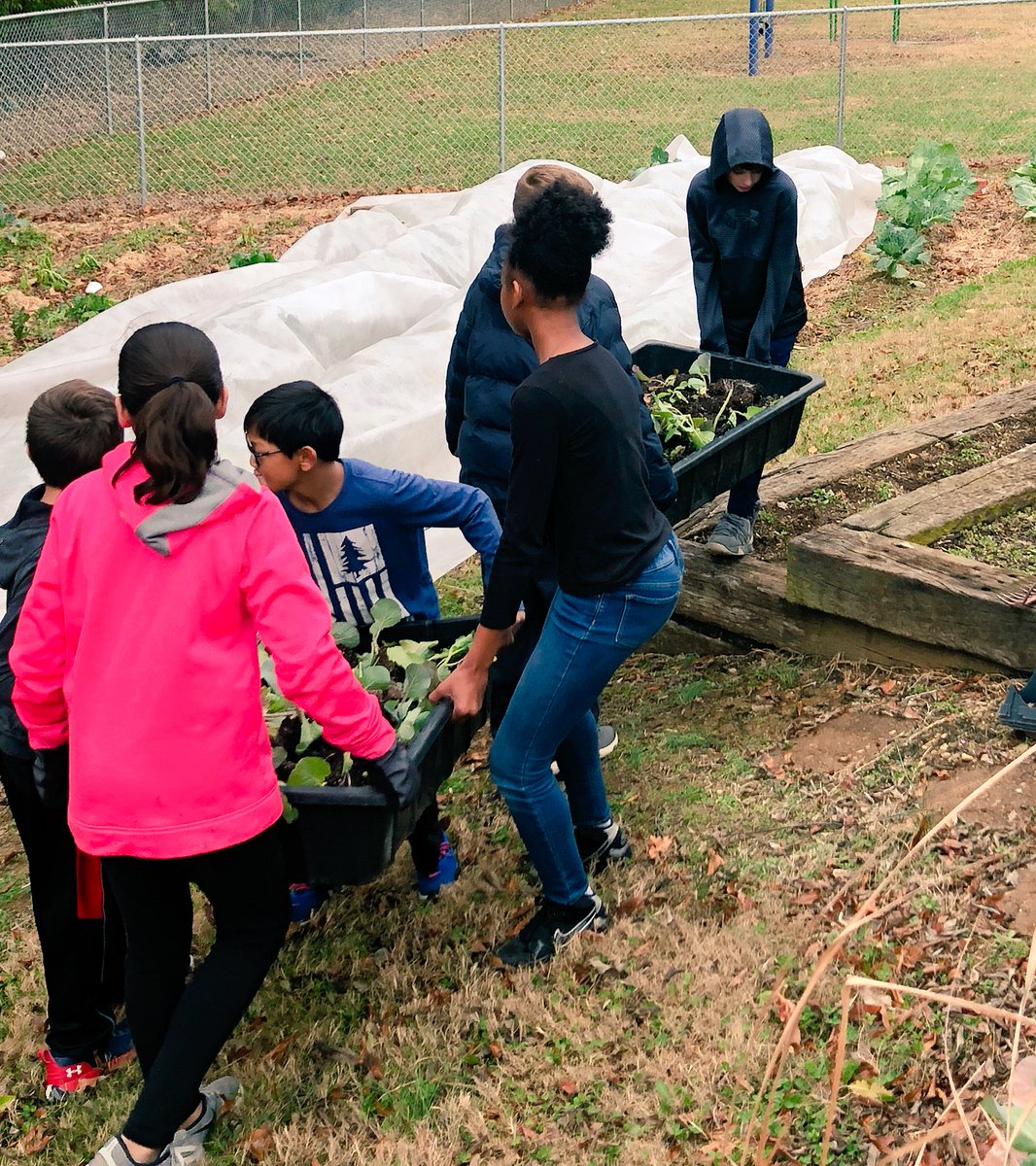 Teamwork was evident in the greenhouse as these 5th graders got their hands dirty and put in some hard work to recycle unused plants donated from local vendors as garden soil to fill the tiered beds in preparation for next Spring. Hands-on learning at its’ best! #WeAreUnionSTEM