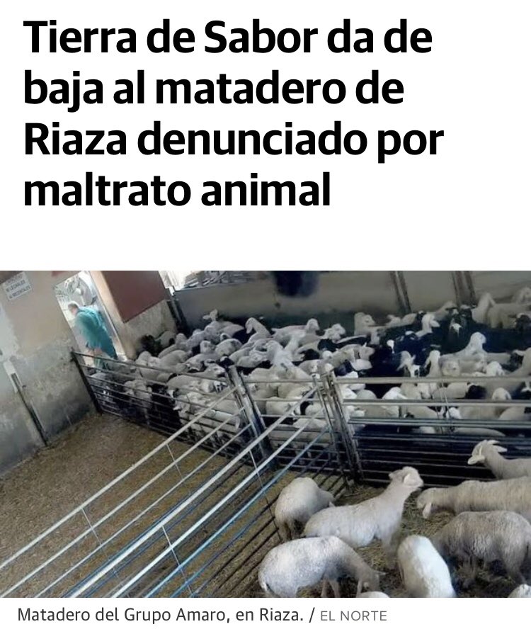 Observatorio de Bienestar Animal tweet media