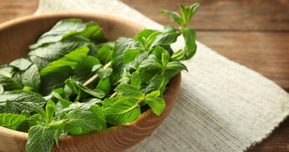 EvalarFrance's tweet photo. les #plantes pour rester #serein au quotodien, vous connaissez ? https://t.co/UFTofp7yjY
#stressfree #Mélisse #Passiflore #Griffonia #bienetre #phytothérapie #sante https://t.co/4RW2Dh92Ru