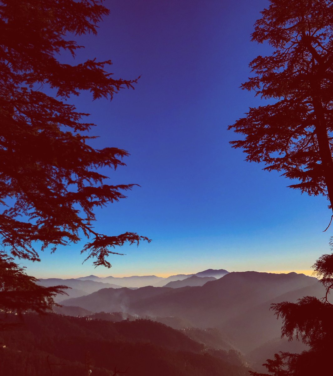 garimalohumi's tweet photo. https://t.co/hMGqHKM7Zp

shimla #sunset #NaturePhotography #beautiful  #natureshots #indianphotography #dreamtravel #discoverglobe #shetravels #inspirationalquotes #motivationalquotes #picoftheday #mountains #shimlalife #HimachalPradesh  #naturelover https://t.co/RHJfOL1Ftd