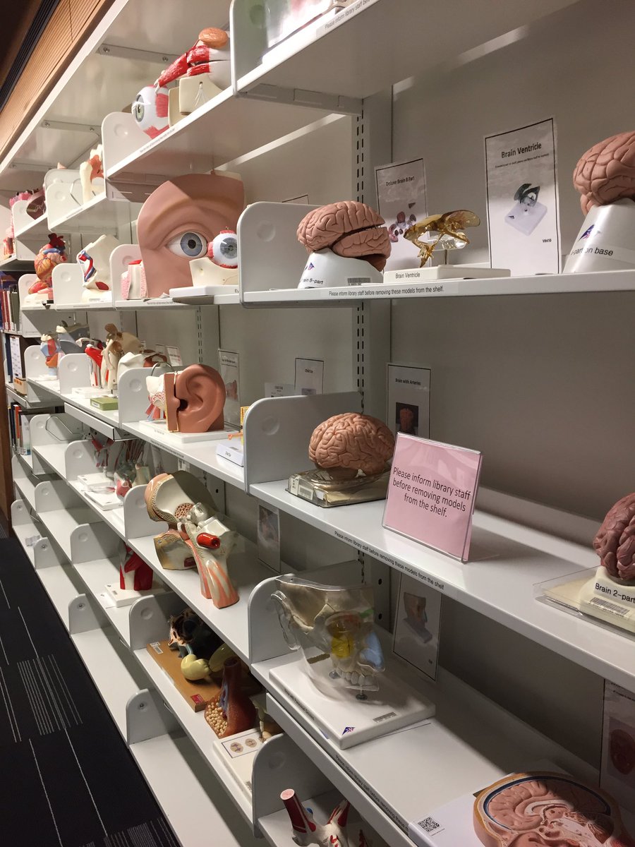 EnzoChavezAZ's tweet photo. Spent the morning at @uamedphx learning about the #innovative ways UA is educating future #MD’s. #VL40 https://t.co/WKt5U9qWXy