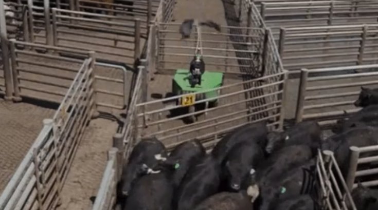 mostlyawake42's tweet photo. RT omni_42co "Somewhat interesting read 
#interestingarticles #article42 #robots #cattle
 https://t.co/b4nl2Xx3lz https://t.co/GPnQosuRMW"