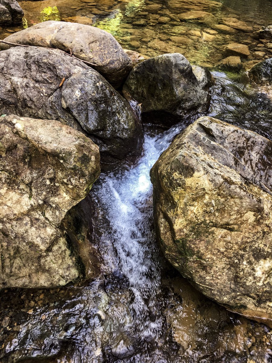 DimediaCompany's tweet photo. ❤️❤️❤️
Borgne 
#Dimedia 
#Nature https://t.co/vtJ1F3VpLO