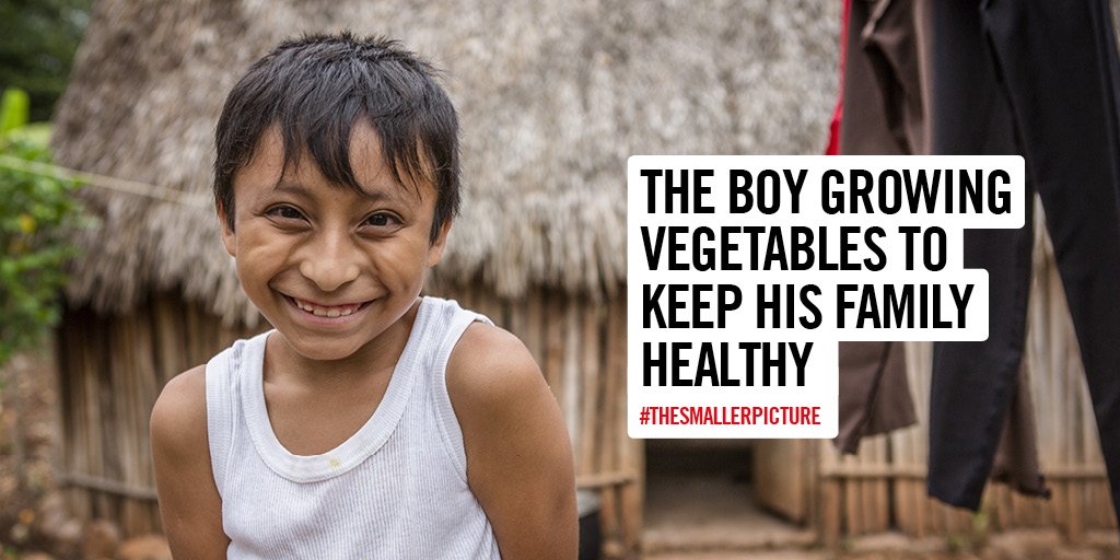 save_children's tweet photo. After #floods swept away his family’s crops & animals, we helped Rudi*’s family build a fruit & vegetable garden for a diverse & healthy diet. Rudi* has now learnt to grow chili, lettuce, onion, pineapple, mango & more! #TheSmallerPicture > https://t.co/PM92q9coZg #CharityTuesday https://t.co/vjlsGghmjv