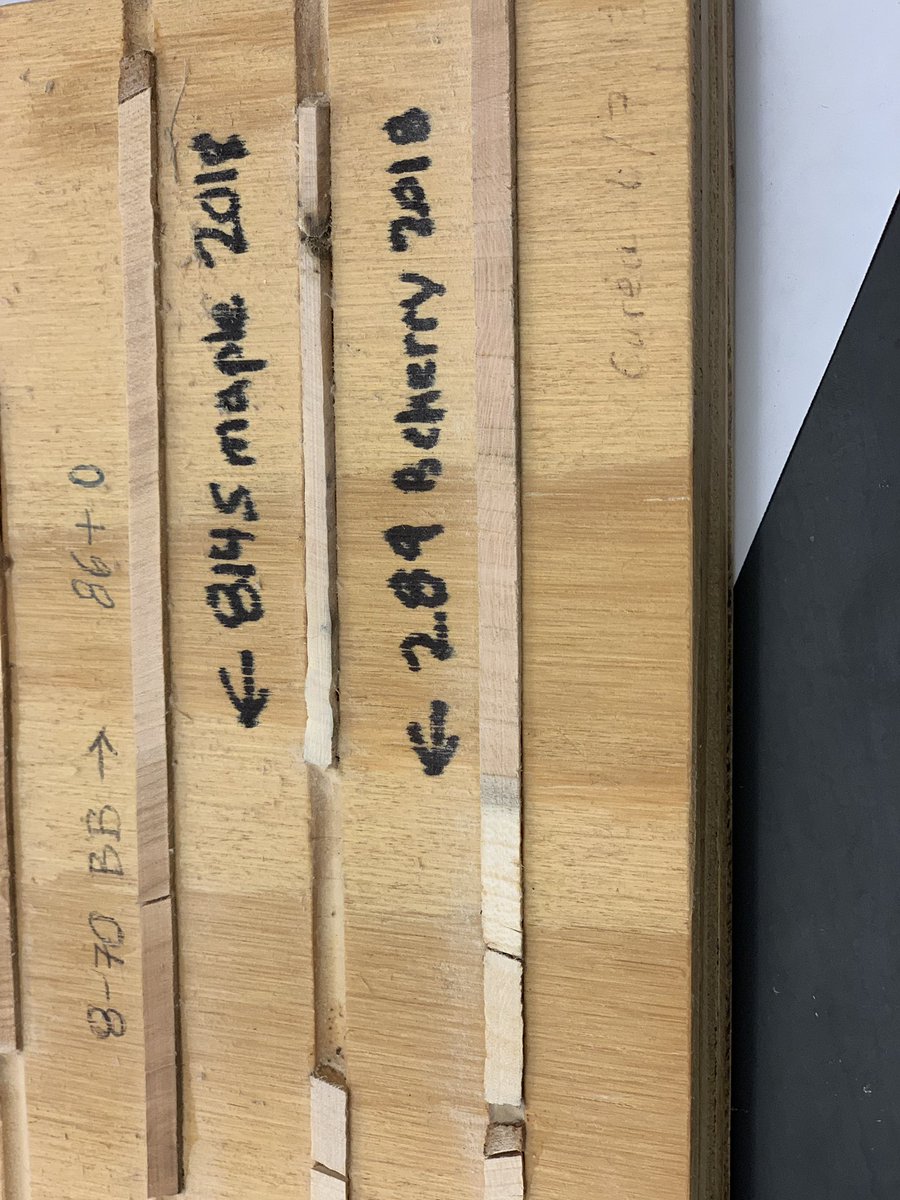 SBeckerEES's tweet photo. Sanding our tree cores to count the number of rings on these maples and cherries. While it may not look like much in these photos, many more rings could be seen under the microscope! #ees152 https://t.co/T4iUawLKRI