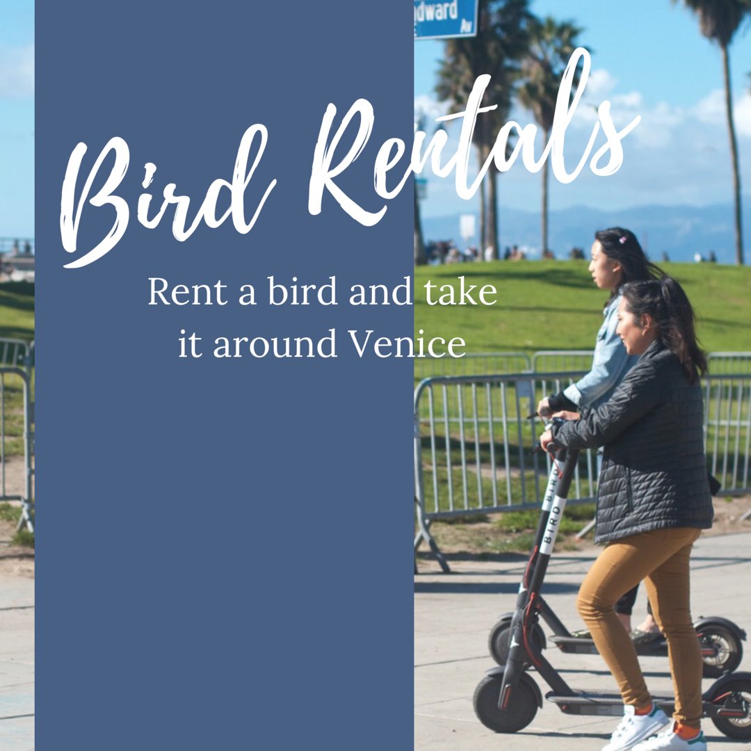 doit_LA's tweet image. Rent a Bird the next time you’re in Venice! Use the app to find them throughout the city and unlock them with your phone. 

costs: 1$ to rent + 15cents per minute to ride