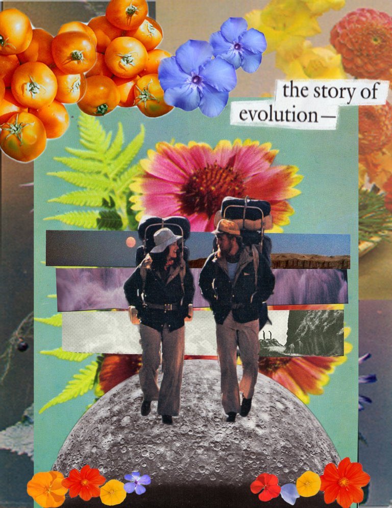 Behold: dreamy collages by Rookie readers. bit.ly/2BB5qeJ