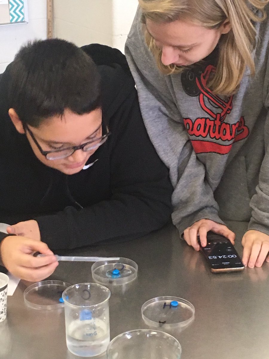 jmcrenglish's tweet photo. Studying solubility in Science 7 #EmporiaProud https://t.co/dLsYtOQrnc