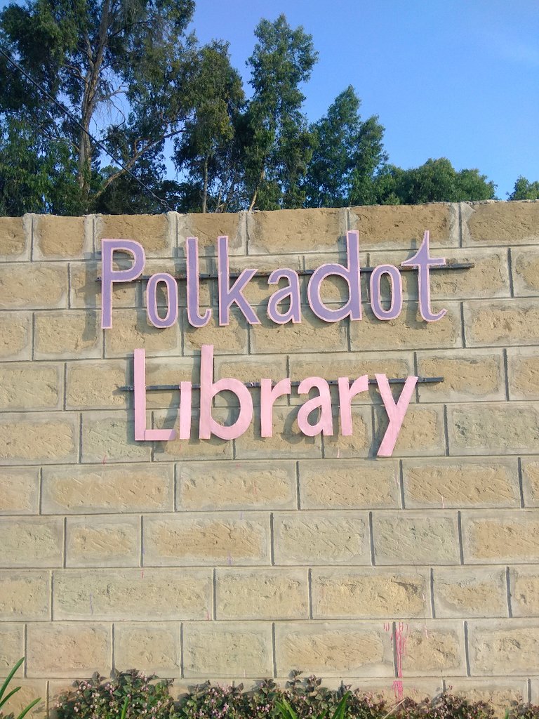 KResearcher's tweet image. Found this little library in Kabarnet in Baringo County. Its know as Polkadot. Its open to school children in the area at no cost. It even has a little garden where kids are taught some farming. #Cool
