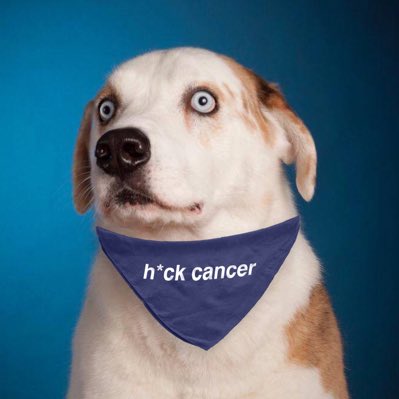 WeRateDogs tweet media