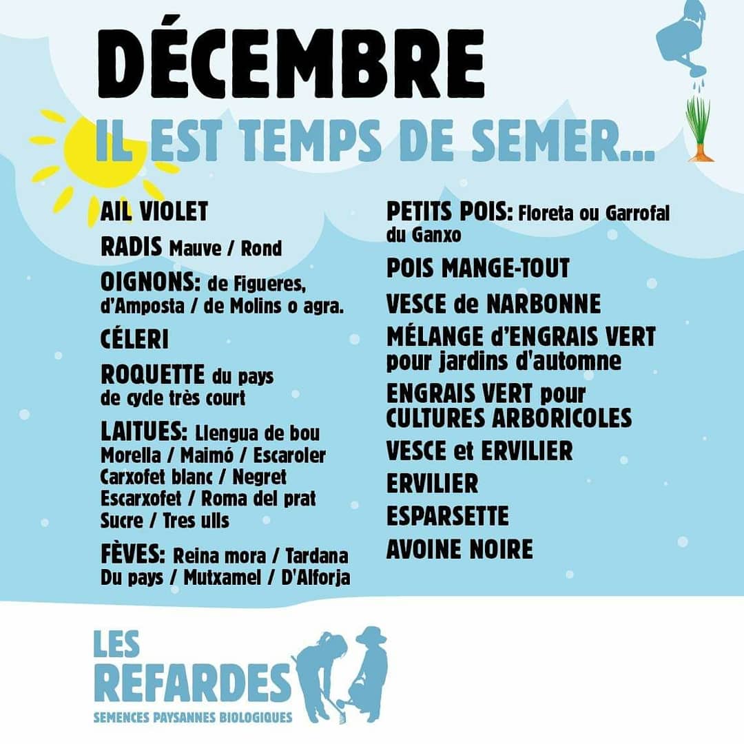 Les Refardes tweet media