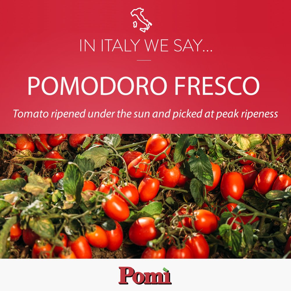 From the field to the table, this is the treasure we preserve with 100% love and devotion: "il Pomodoro fresco”, the ingredient 🍅 that goes into all our authentic, genuine products. Do you love it as much as we do? #InItalyWeSay

bit.ly/pomi_us