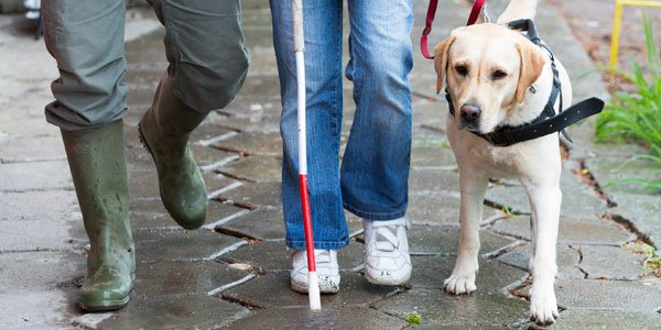 CDCemergency's tweet photo. Public #health emergencies can be especially hard for people with disabilities. Want to learn how to address their needs? Join the @CDCgov EPIC team for a free webinar tomorrow, Nov. 28 , at 1 p.m. ET. More info: https://t.co/V5Vsi0DFVH #PrepYourHealth #TuesdayThoughts https://t.co/j77GGPEYm2