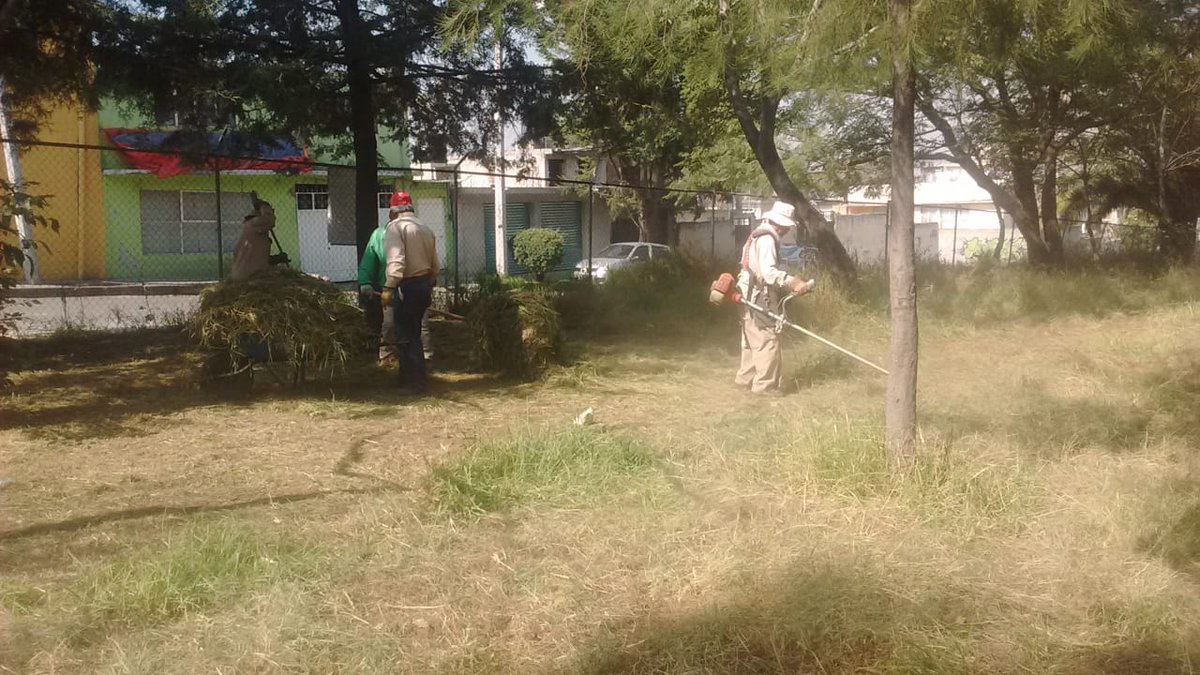 DSPCIZCALLI's tweet photo. Desmalezado y recolección de desechos en el Parque de Calle Naranjos, Bosques de Morelos.
#MejorIzcalli
#MunicipioConValores https://t.co/K9N4AKxjBf