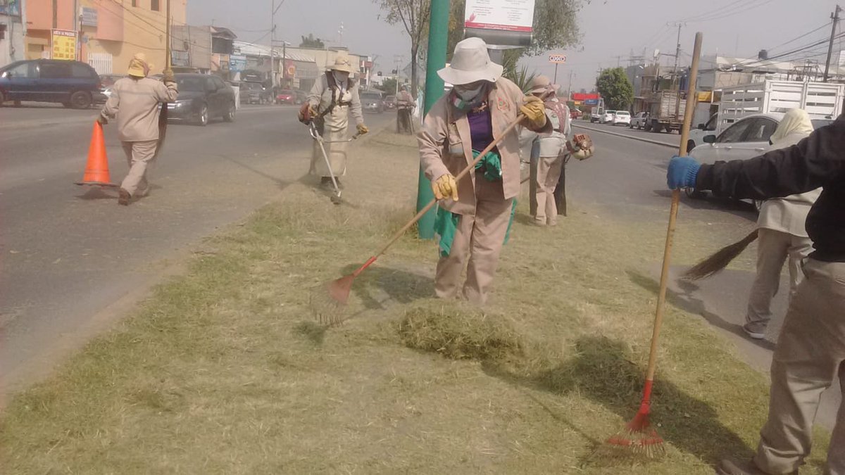 DSPCIZCALLI's tweet photo. Desmalezado y recolección de desechos en el Parque de Calle Naranjos, Bosques de Morelos.
#MejorIzcalli
#MunicipioConValores https://t.co/K9N4AKxjBf