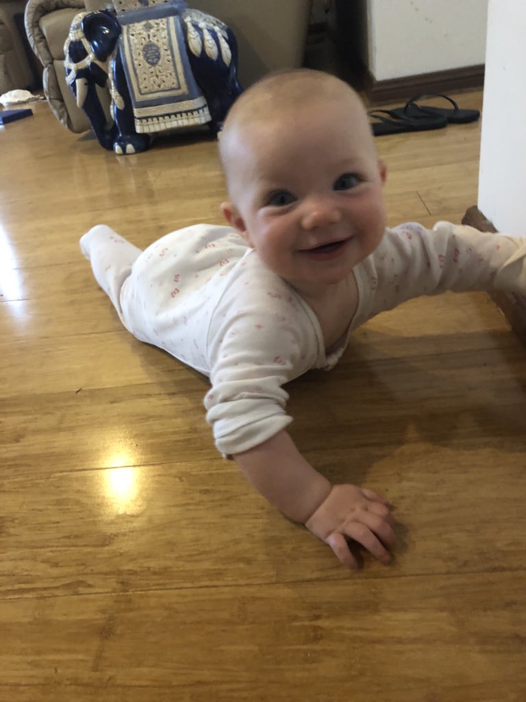 Caught in Sydney due to #sydneystorm but luckily I have the worlds cutest admin assistant to help me with my work today 🤗