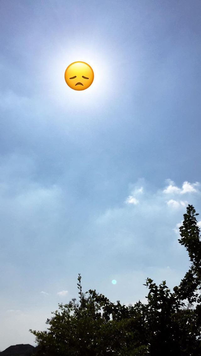 wondermoon 🌙 tweet media