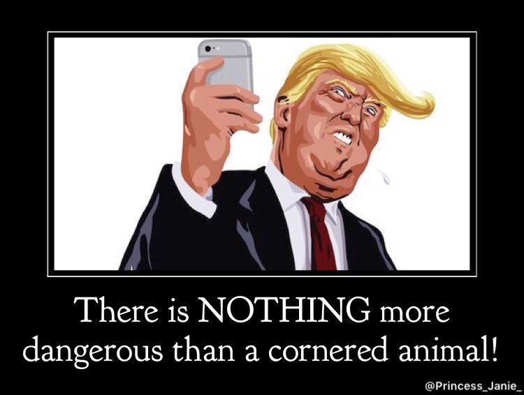 Princess_Janie_'s tweet photo. @tedlieu @4everNeverTrump @realDonaldTrump God only knows what havoc he will wreak before this is over...Scary dayโs ahead! #TrumpIsAnAtrocity https://t.co/cGRvol7mzE