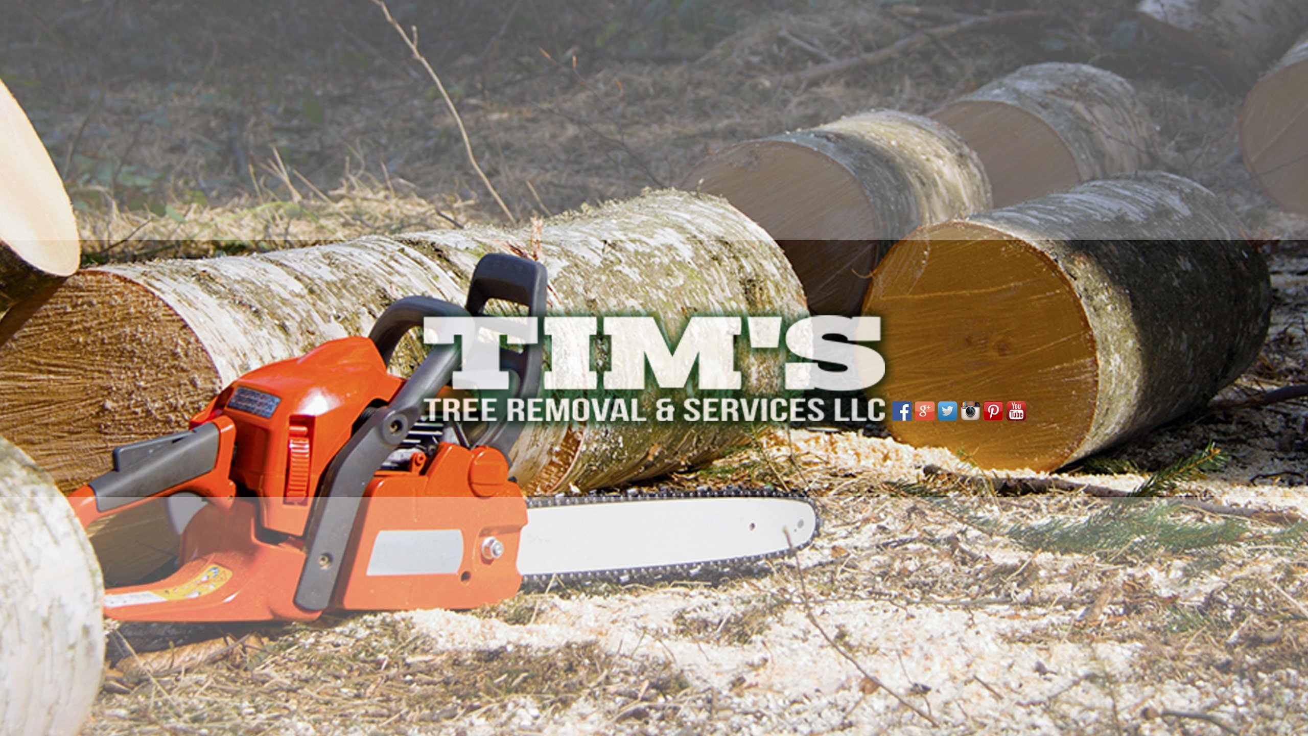 tim's tree service llc