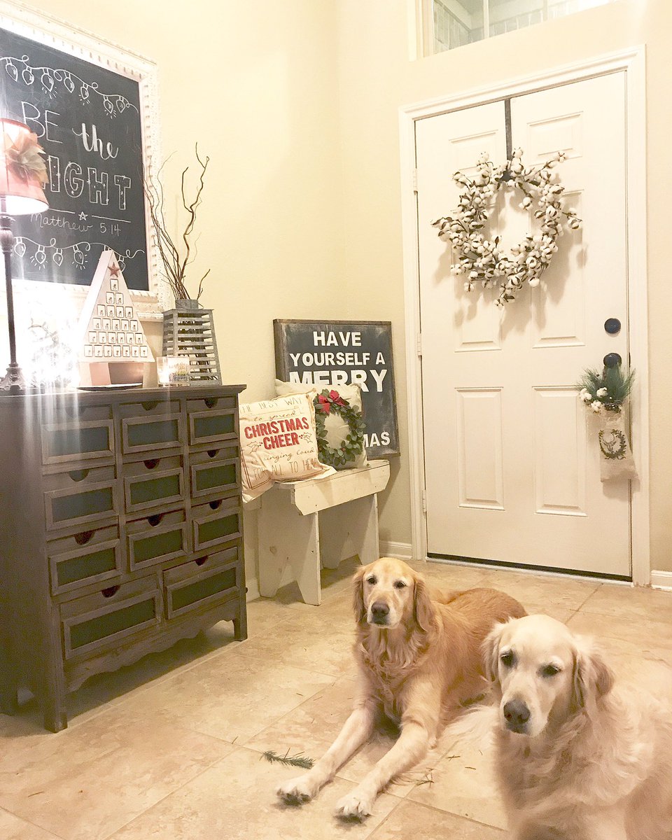 Daisy and Lily want to show you the work they did (see torn up tree by paws)
