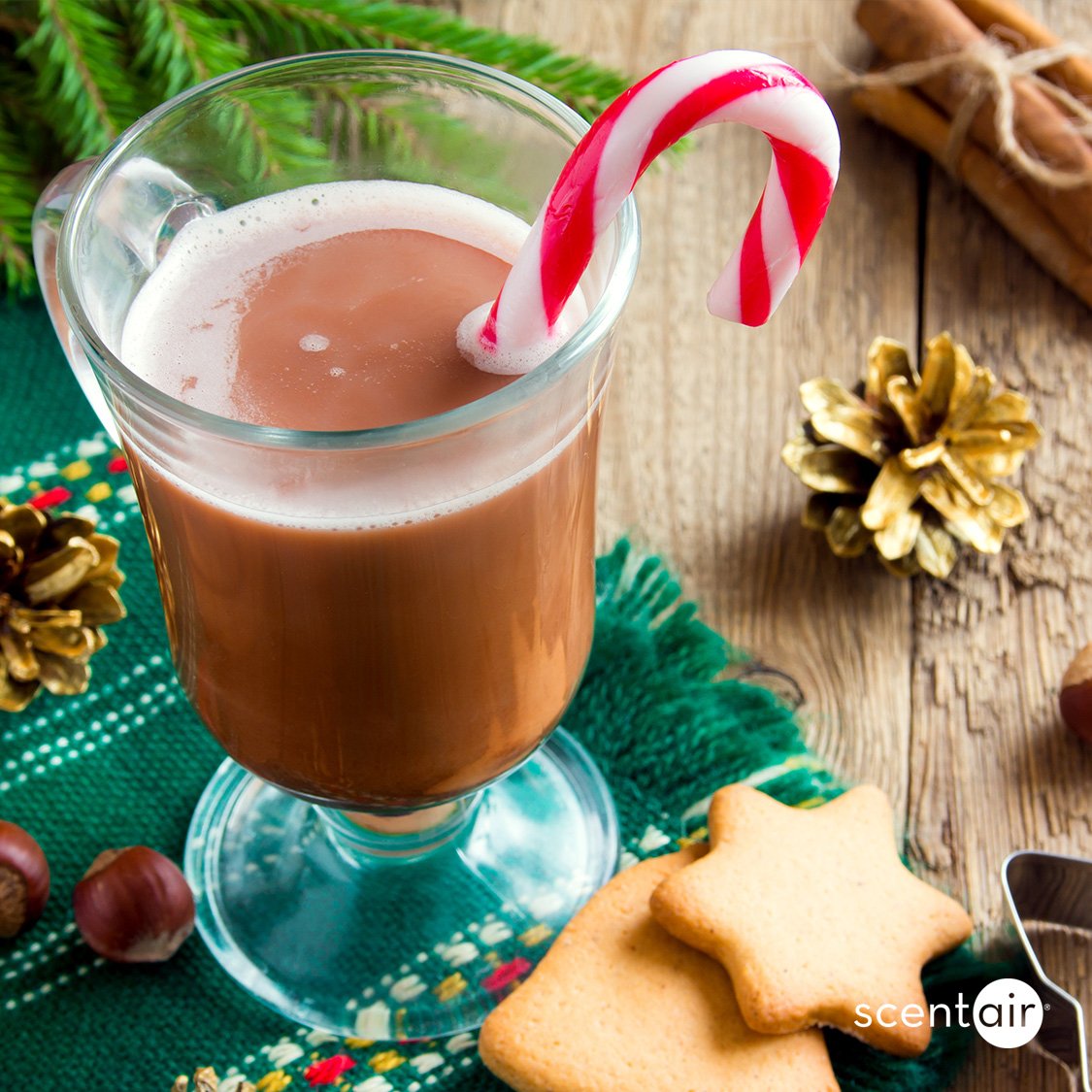 ScentAir's tweet photo. Research shows there could be serious health benefits to your favorite holiday scents. https://t.co/qMbLjmWnGk #TuesdayThoughts https://t.co/ipEA6jDy0V