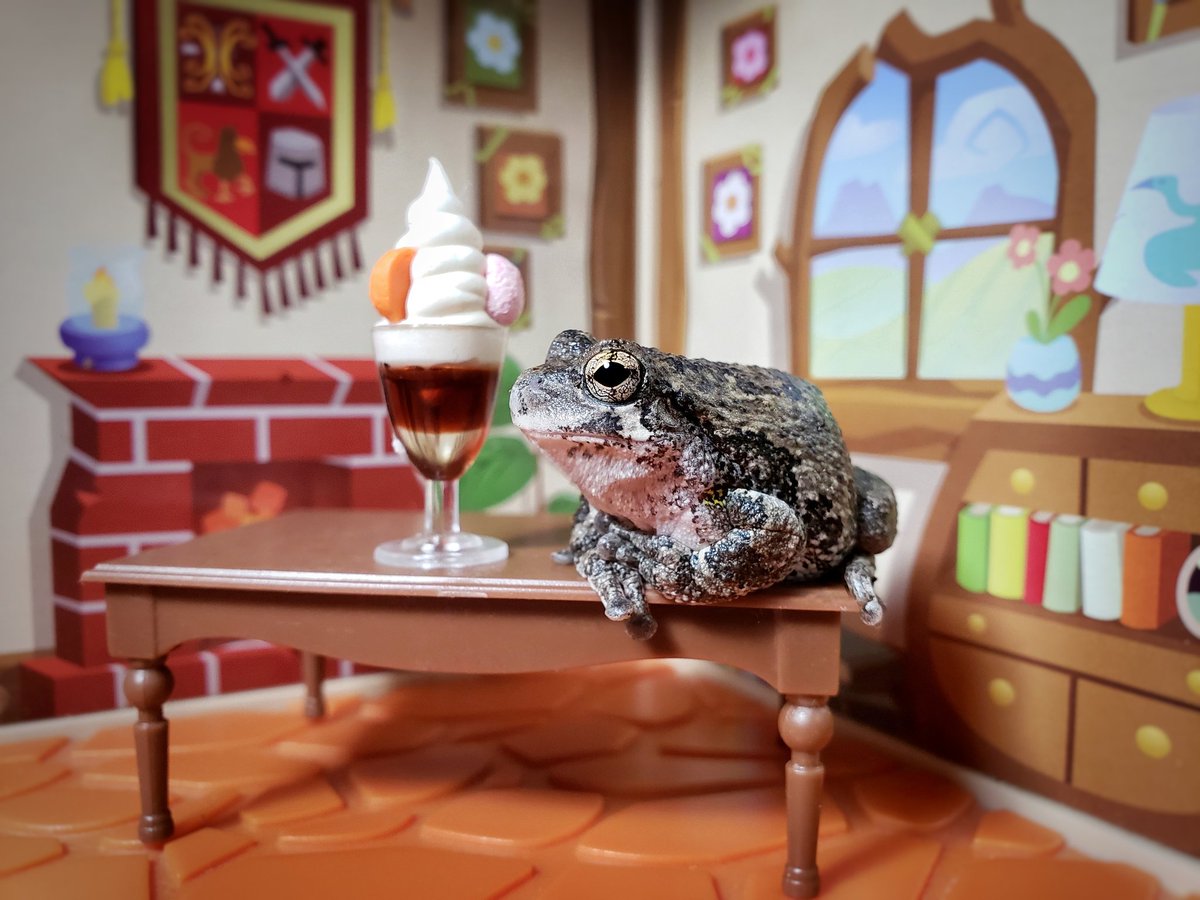 Its #GivingTuesday ☺

Pls remember to #donate to <a href="/savekidscastle/">SaveKidsCastle</a> to make this dream park for kids of all abilities a reality!

Savekidscastle.org/donate

#frog #sweet #GivingTuesday2018 #