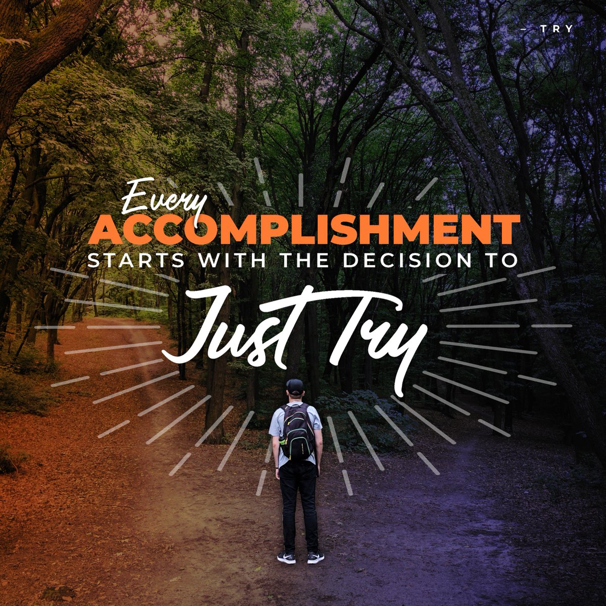 Developrise tweet media