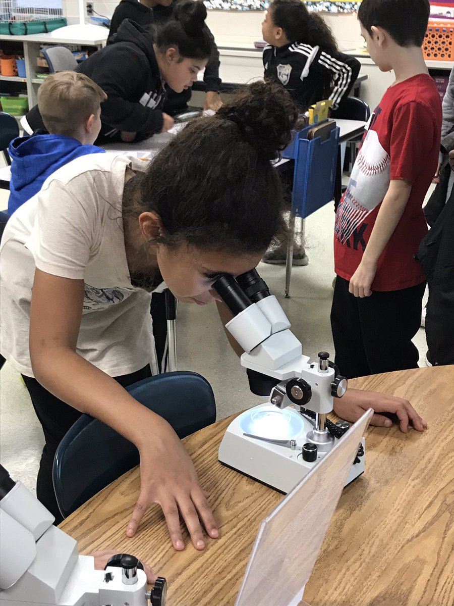 Mrs. Meyer tweet media