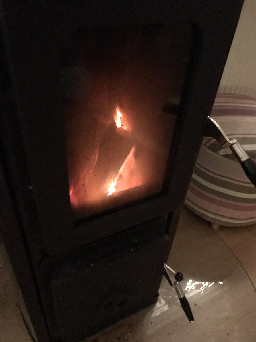 daleniusl8's tweet image. Det är -10° ute. Då är det fantastiskt att få elda med egen ved som jag själv gjort från träd på min egen tomt. #prepp