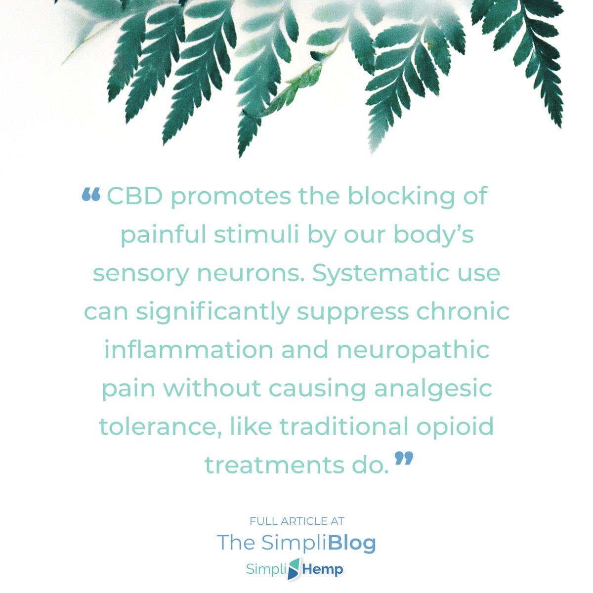 We Break Down CBD and Pain Relief for this Week's Installment of the #SimpliBlog.

simplihemp.co/pages/cbd-and-…
 
#mysimpli #simplihemp #cbdoil #hempcbd #cbd #cbdoils #cannabidiol #smile #art #wellness #organic #love #health #blog #pain #painrelief #allnatural #nature #hemp #nongmo