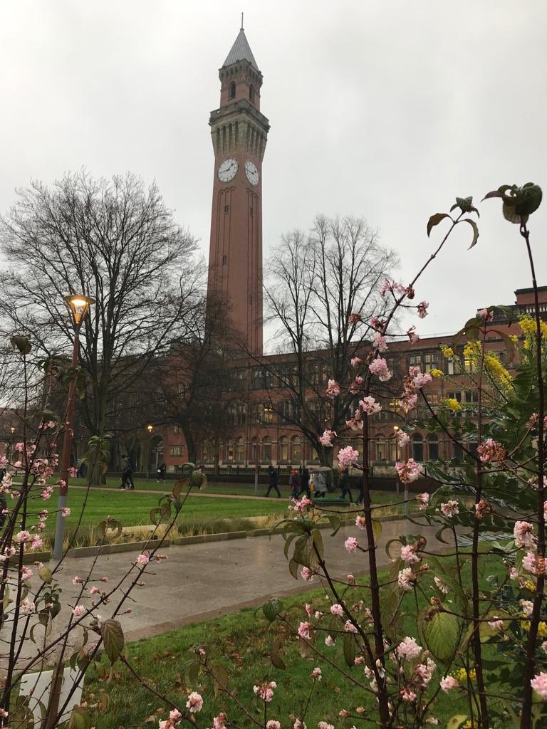 ⁦Today #CokethorpeLowerSixth visited ⁦@unibirmingham⁩ Informative talk and fantastic ambassadors ⁦@UoB_Sch_Liaison⁩ who gave their time, touring the students and answered lots of questions. #CokethorpeAmbition #CokethorpeUniversities