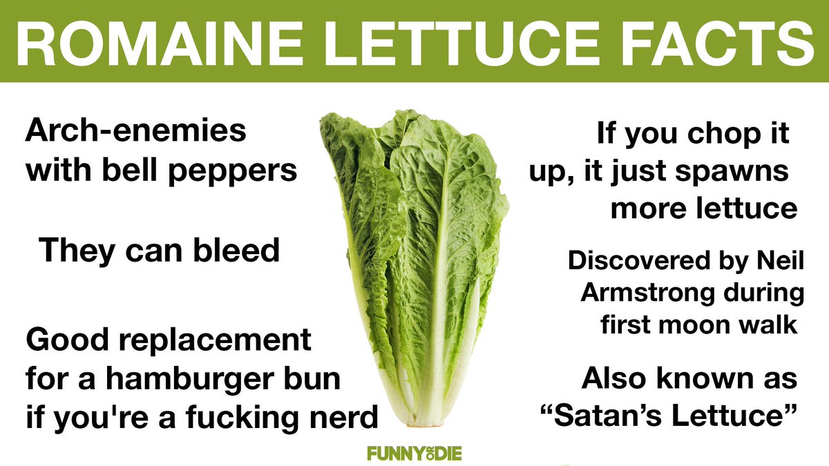 Made up fun lettuce facts