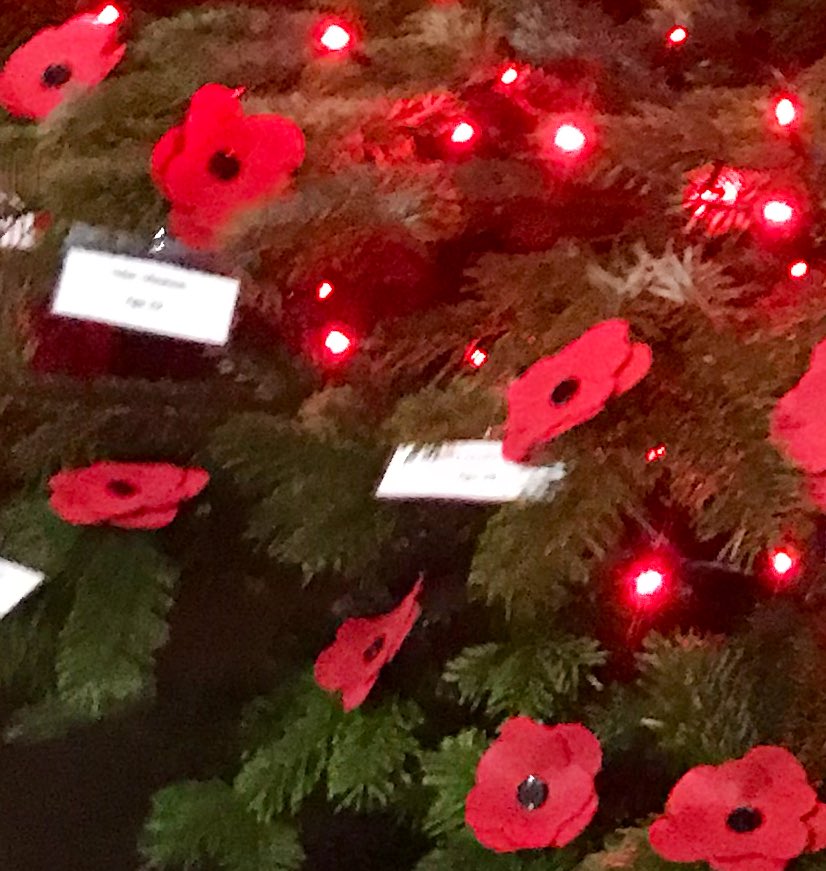 Dalton Cllr Ann Thurlow was spotted in St Mary’s Church Dalton decorating a special tree for Dalton’s Christmas Tree Festival. Each poppy on the tree has the name &amp; age of Dalton’s fallen soldiers #wewillrememberthem100