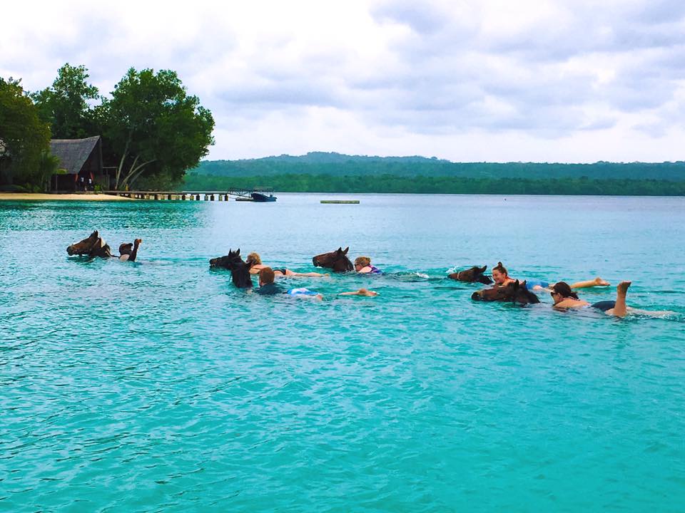 RatuaIsland's tweet photo. Don't just go horse riding by the beach. Go swimming with the horses instead!
#iLoveRatua #DiscoverWhatMatters #DiscoverVanuatu https://t.co/W41pkHHbDR