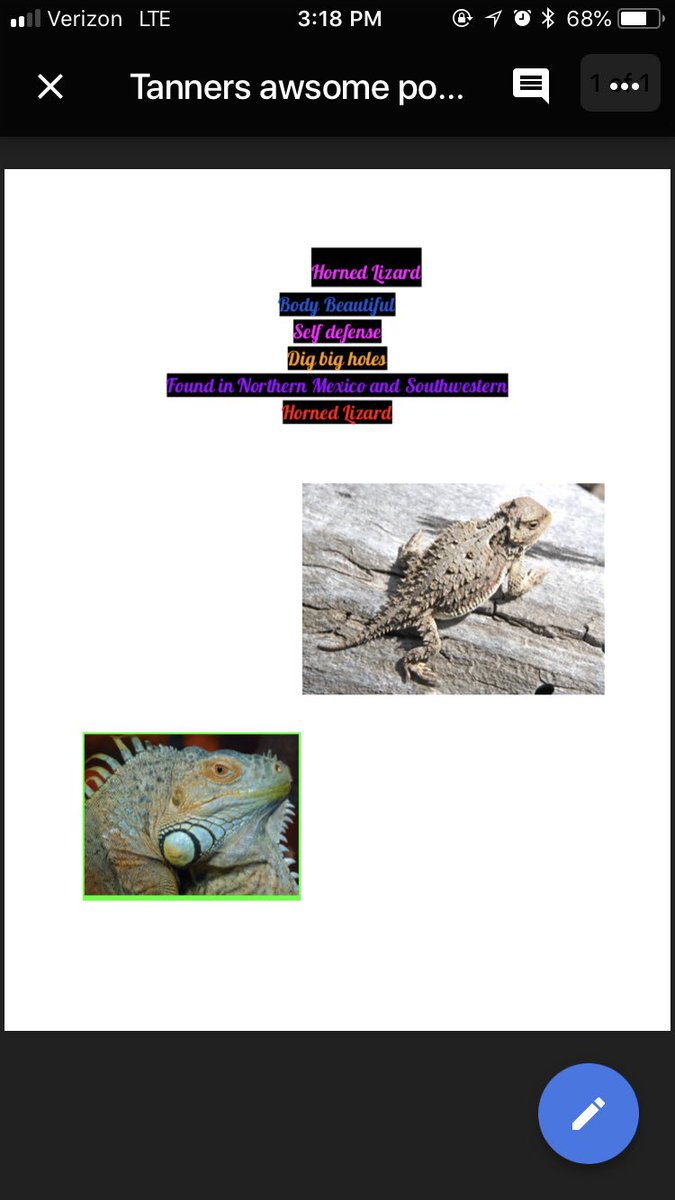 WES_Barbour's tweet photo. Students wrote a poem using parts of speech about an amphibian/reptile of their choosing. Then, they typed them and had the opportunity to explore the features of Google Docs. They had fun discovering many of the features! #WhosGotItBetterThanWES https://t.co/tGnaeuGlv8