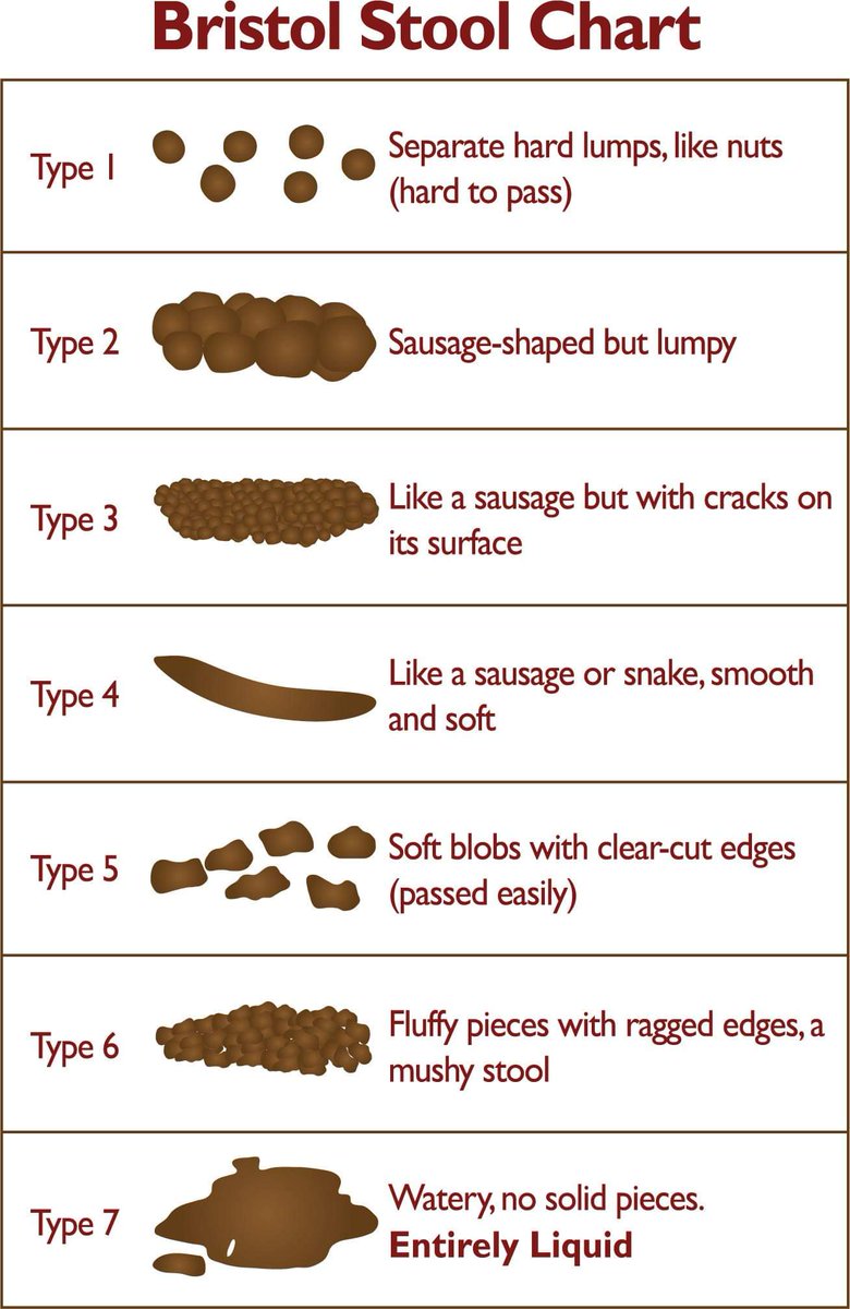 CrohnsColitisUK's tweet photo. #Diarrhoea and #constipation are common symptoms of #Crohns and #Colitis - and you may continue to experience them when treatment is keeping other symptoms under control. The #BristolStoolChart is  useful to judge and track your day-to-day symptoms 💩

https://t.co/0W4PuRB8lE https://t.co/bxEyk0rWzR
