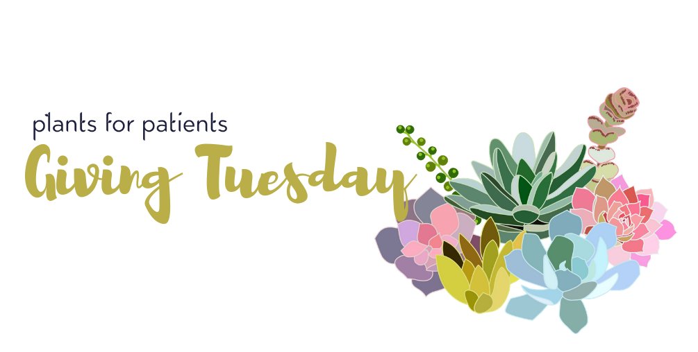 Consider Plants for Patients in your day of giving on this #GivingTuesday. Contribute to compassion, community, and creativity -- art, plants, and unity -- bonded together to create a gentle gesture of "you are not alone" to those who may need a reminder.
bit.ly/2P2EpVj