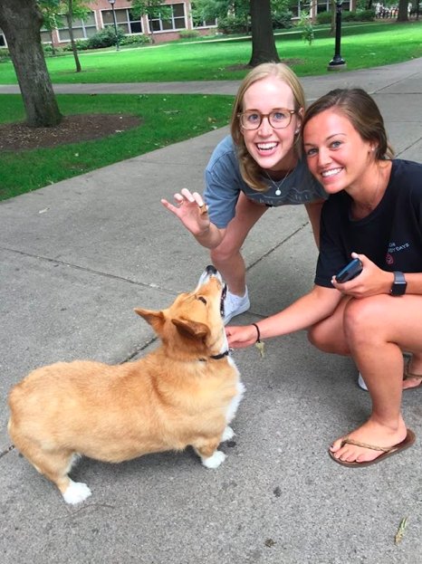 Our favorite U-M celebrity is most definitely the Campus Corgi. #GivingBlueday