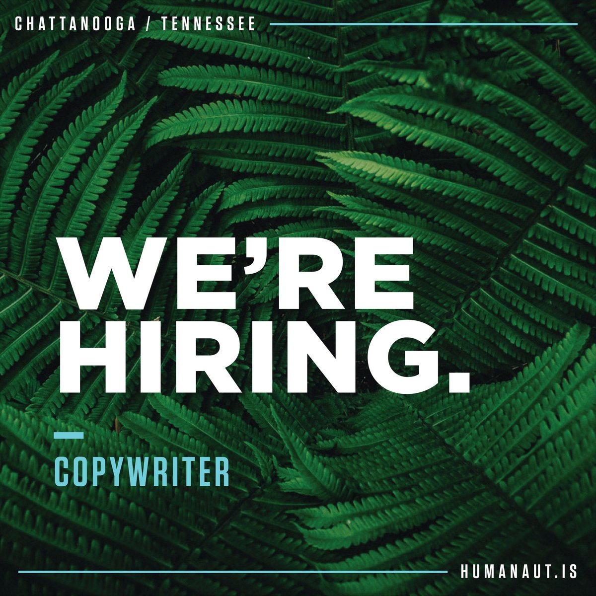 humanaut's tweet photo. Humanaut might be just what you're looking for. You might be just what we're looking for. This might be a match made in heaven. Let's find out. 
Apply here 👉 https://t.co/a7syhj3sxy https://t.co/iU4zoCh86u